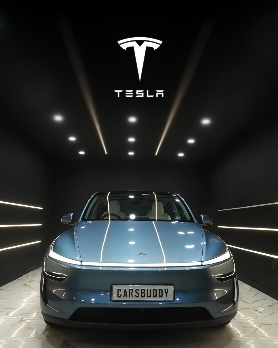 Tesla Carsbuddy